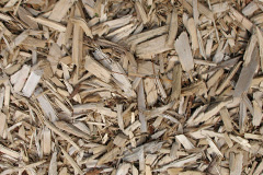 biomass boilers Artafallie